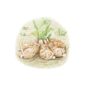 Sleeping Flopsy Bunnies Card