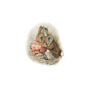 Benjamin Bunny and Peter Rabbit Hiding Greetings Card