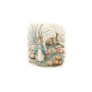 Peter Rabbit And Benjamin Bunny Greetings Card