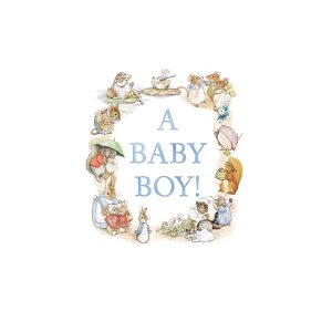 Beatrix Potter Baby Boy Card- Blue