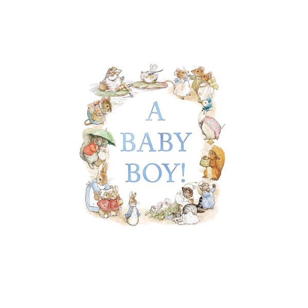Beatrix Potter Baby Boy Card- Blue