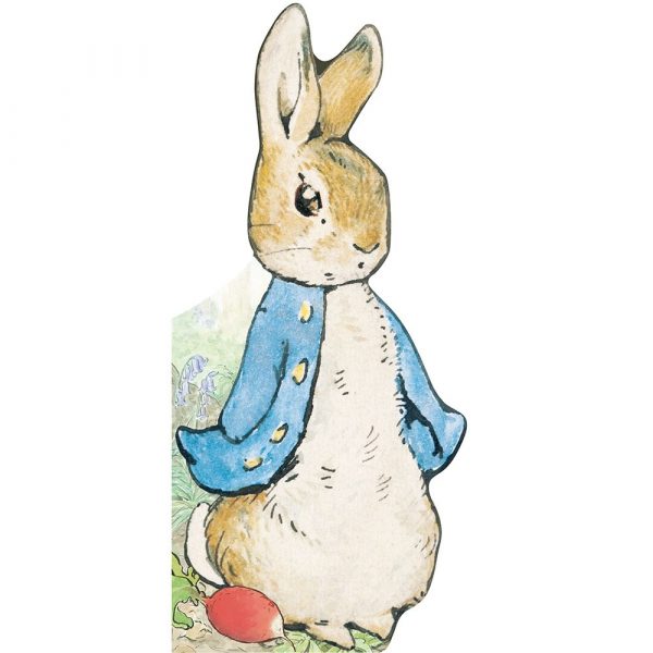 All About Peter Board Book