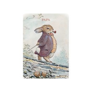 Old Mr Benjamin Bunny 'Papa' Card