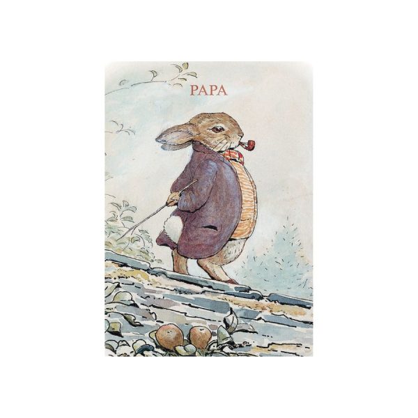 Old Mr Benjamin Bunny 'Papa' Card