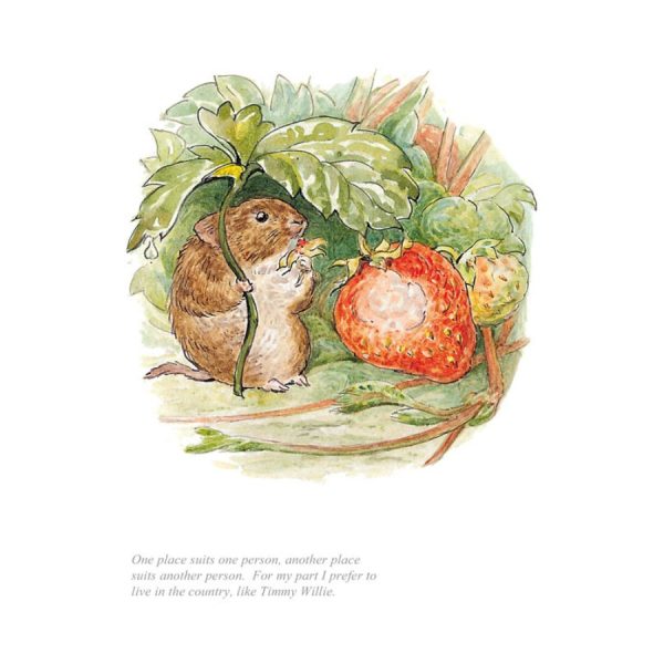 Timmy Willie Unframed Limited Edition Print