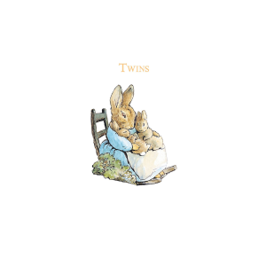 Mrs Rabbit Twins Card