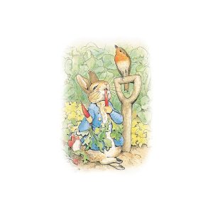 Peter Eating Radishes Greetings Card