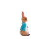 Peter Rabbit Resin Cake Topper