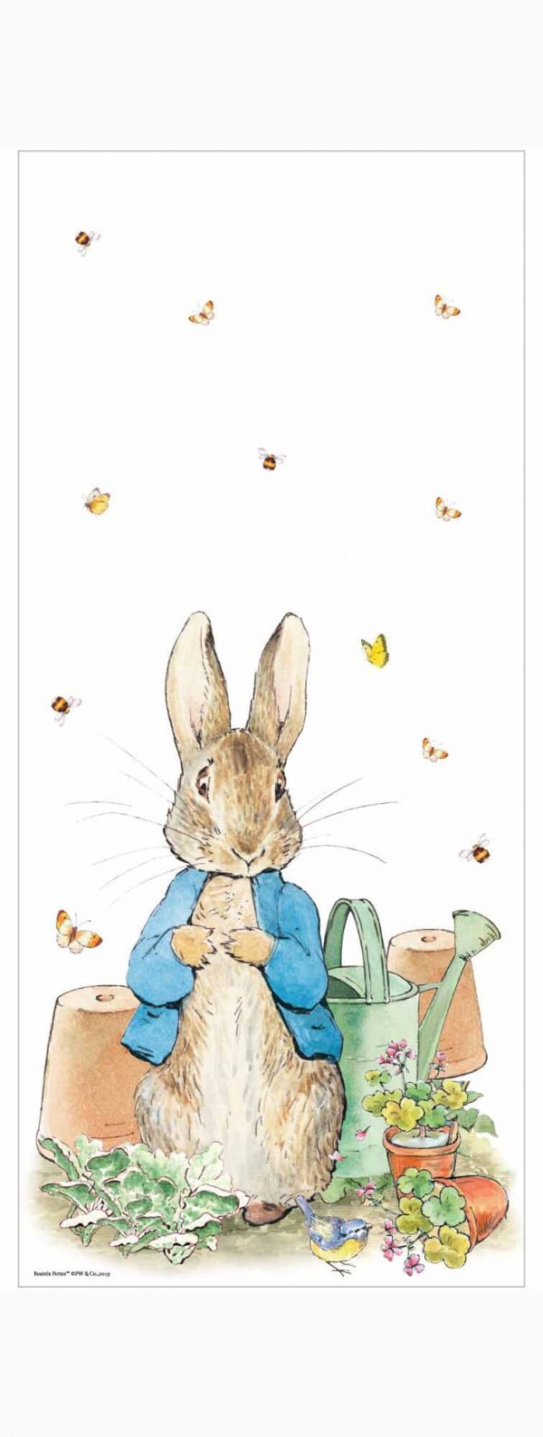 Peter Rabbit Cello Bags with Ties