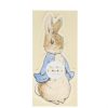 Peter Rabbit Shaped Party Napkins - Image 2