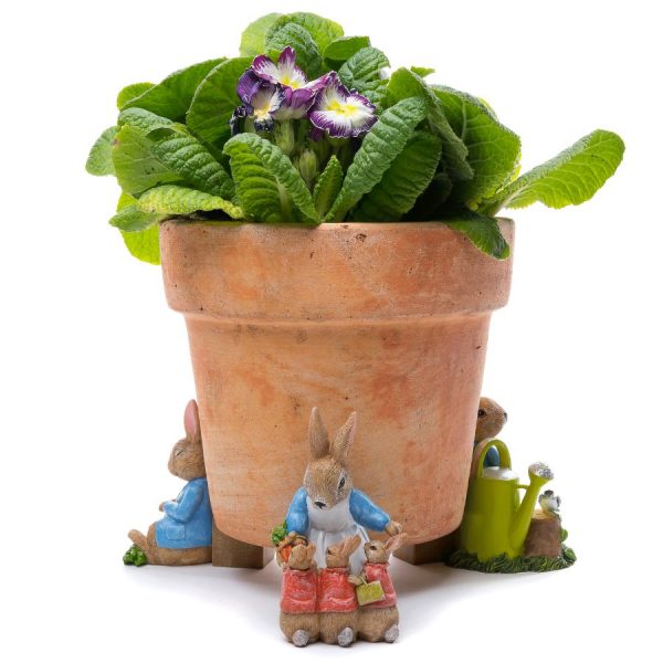 Peter Rabbit Potty Feet Colour Set 5