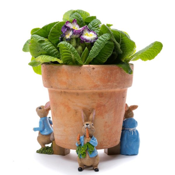 Peter Rabbit Potty Feet Colour Set 1