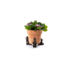 Benjamin Bunny Potty Feet Bronze Set 2