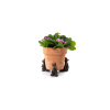 Benjamin Bunny Potty Feet Bronze Set 2