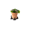 Jemima Puddle-Duck and Friends Potty Feet Bronze Set 3