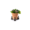 Peter Rabbit Potty Feet Bronze Set 5