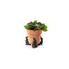 Peter Rabbit Potty Feet Bronze Set 1