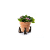 Peter Rabbit Potty Feet Bronze Set 1