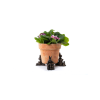 Peter Rabbit Potty Feet Bronze Set 5