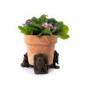 Squirrel Nutkin Potty Feet Bronze Set 4
