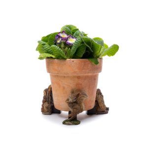 Squirrel Nutkin Potty Feet Colour Set 4