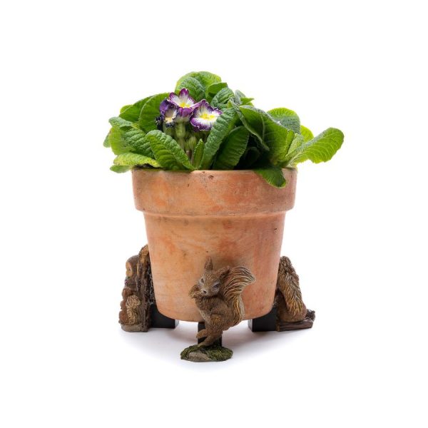 Squirrel Nutkin Potty Feet Colour Set 4