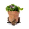 Squirrel Nutkin Potty Feet Colour Set 4