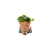 Peter Rabbit Potty Feet Colour Set 5