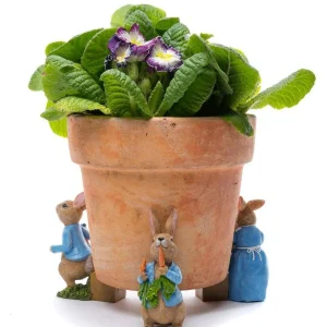 Peter Rabbit Potty Feet Colour Set 1