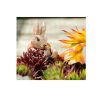 Flopsy Bunny Plant Pot Buddy