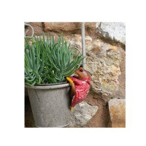 Mr Jeremy Fisher Plant Pot Buddy