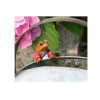 Mr Jeremy Fisher Plant Pot Buddy