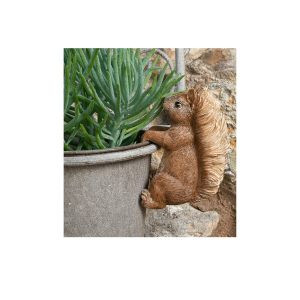 Squirrel Nutkin Plant Pot Buddy