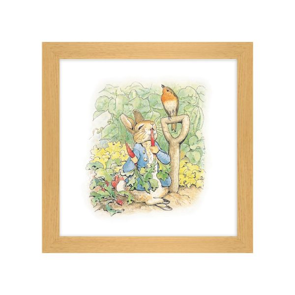 Adventures of Peter Rabbit 1 Framed Print