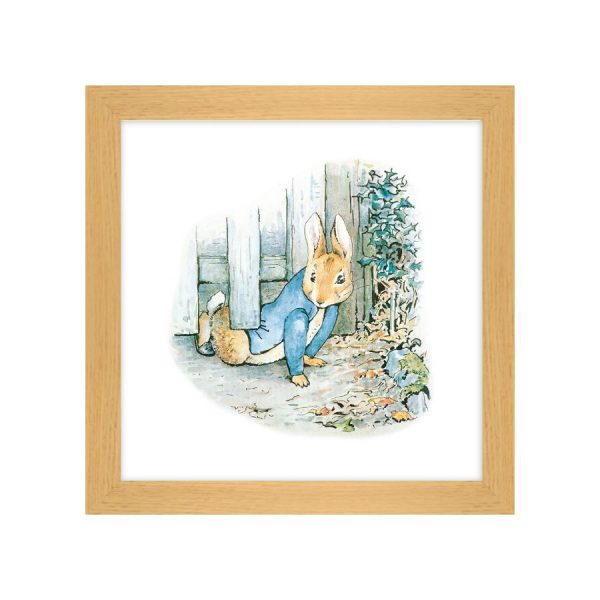 Adventures of Peter Rabbit 2 Framed Print