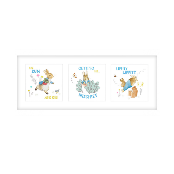 Peter Rabbit Framed x3 Prints