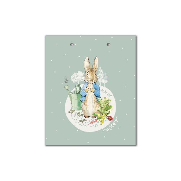 Beatrix Potter Small Gift Bag