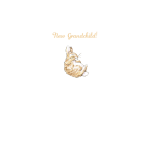 Bunny 'New Grandchild' Card