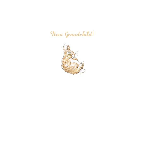 Bunny 'New Grandchild' Card