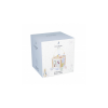 Peter Rabbit Activity Cube