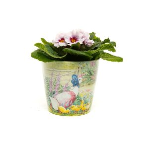 Eco-Pot set of 3 - Peter Rabbit, Jemima Puddle-Duck & Mrs Tiggy-Winkle