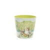 Eco-Pot set of 3 - Peter Rabbit, Tom Kitten & Jeremy Fisher