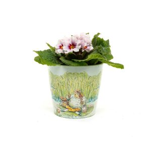 Eco-Pot set of 3 - Peter Rabbit, Tom Kitten & Jeremy Fisher