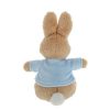 Peter Rabbit Small Soft Toy