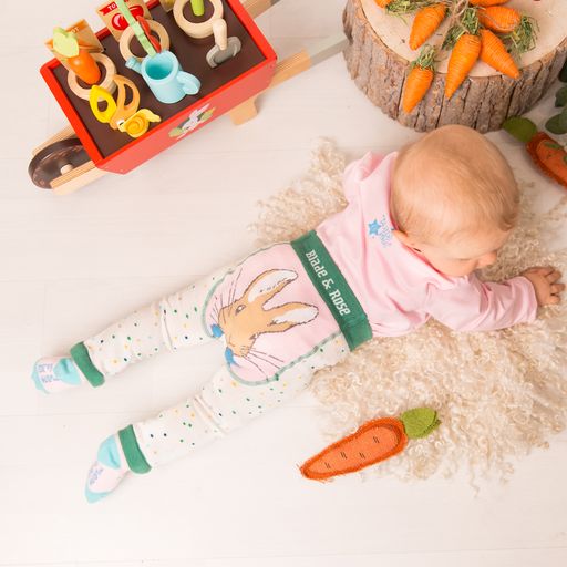 Blade Rose Peter Rabbit Pretty Garden Leggings Beatrix Potter Shop