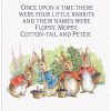The Original Metal Sign Co - Peter Rabbit & Bunnies