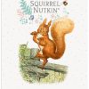 The Original Metal Sign Co - Squirrel Nutkin
