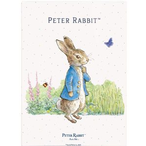 The Original Metal Sign Co - Peter Rabbit Sitting
