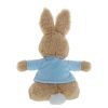 Great Ormond Street Peter Rabbit Small