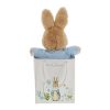 Peter Rabbit Soft Toy in Gift Bag